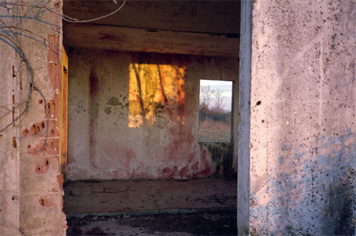 david wilson photographer photography