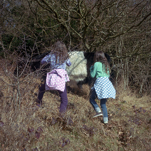 felicia honkasalo photographer photography london