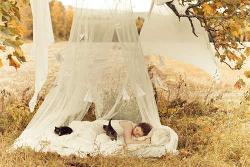 where the wild things are forts contest