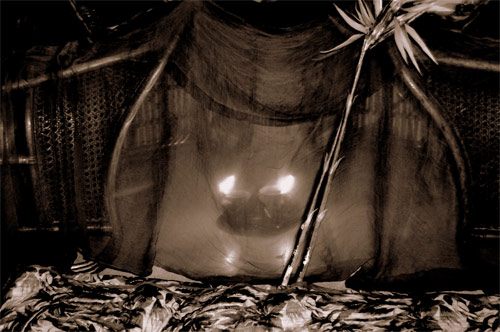 where the wild things are forts contest