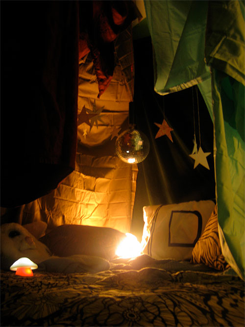 wild things forts project