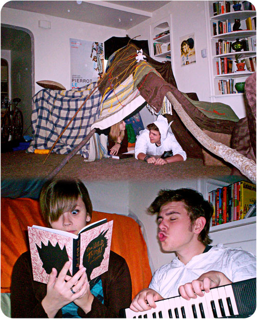 wild things forts project
