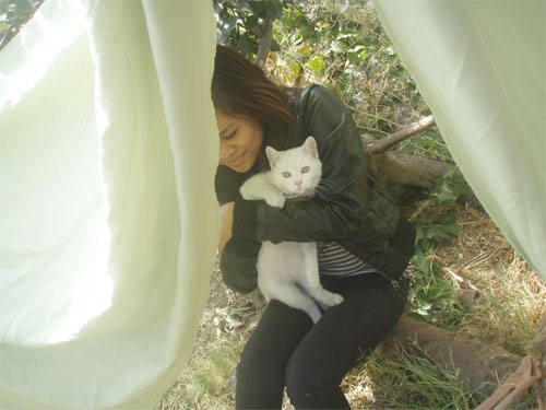 wild things forts project