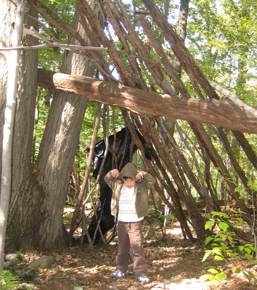 wild things forts project