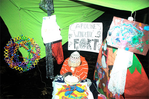 wild things forts project