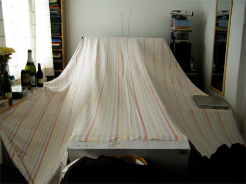 wild things forts project