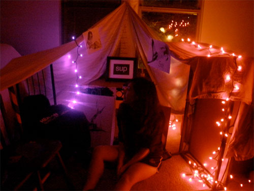 wild things forts project
