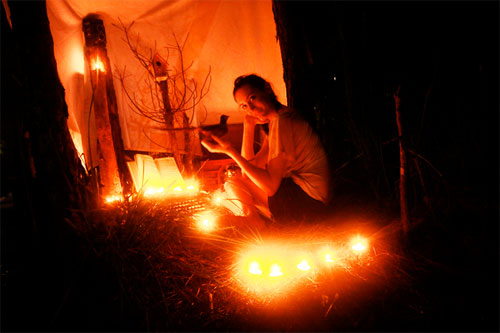 wild things forts project