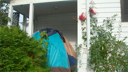 where the wild things are forts contest