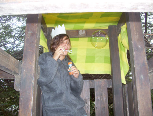where the wild things are contest forts booooooom