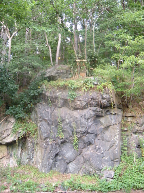 where the wild things are forts