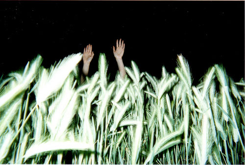  lisa manfre the arms project photographer photography