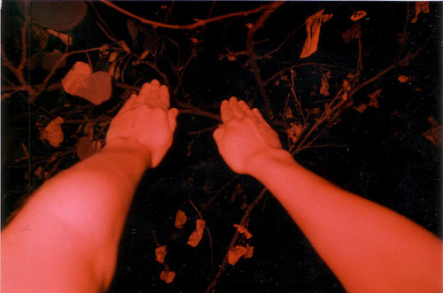  lisa manfre the arms project photographer photography