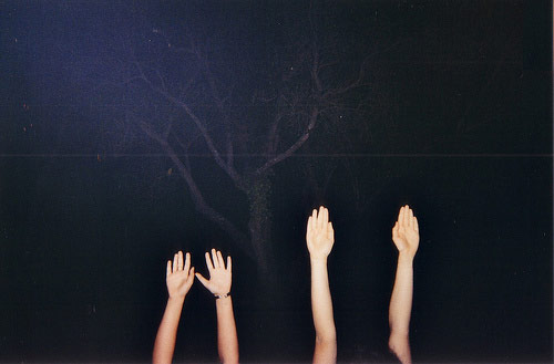  lisa manfre the arms project photographer photography