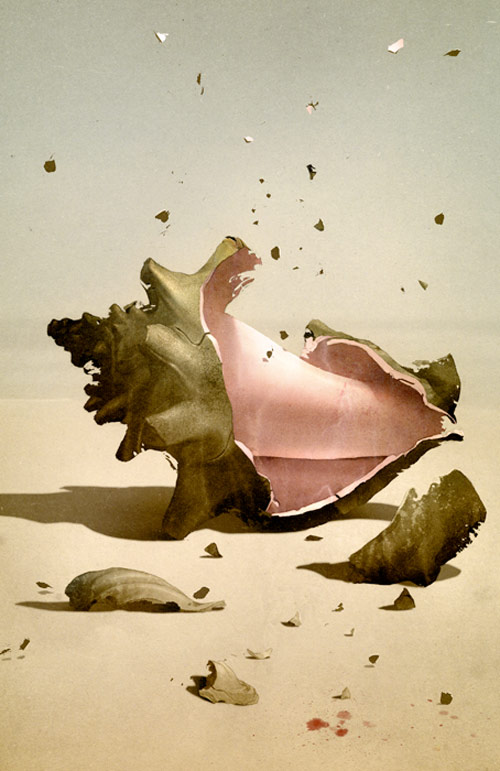 lord of the flies sam weber illustration illustrator book