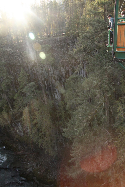 whistler bungee jumping jump british columbia