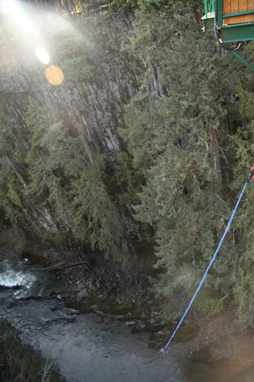 whistler bungee jumping jump british columbia