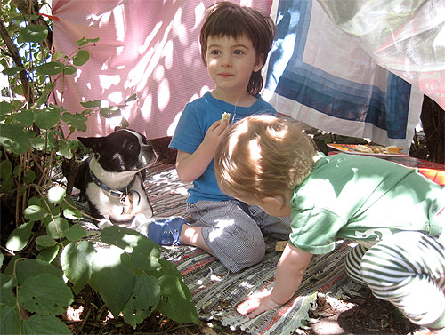 where the wild things are forts contest project booooooom