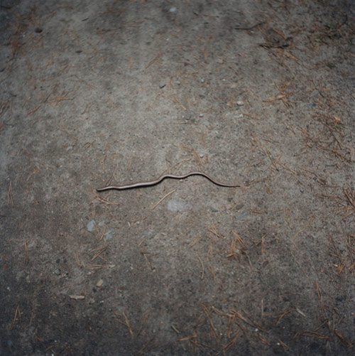anne schwalbe photographer photography