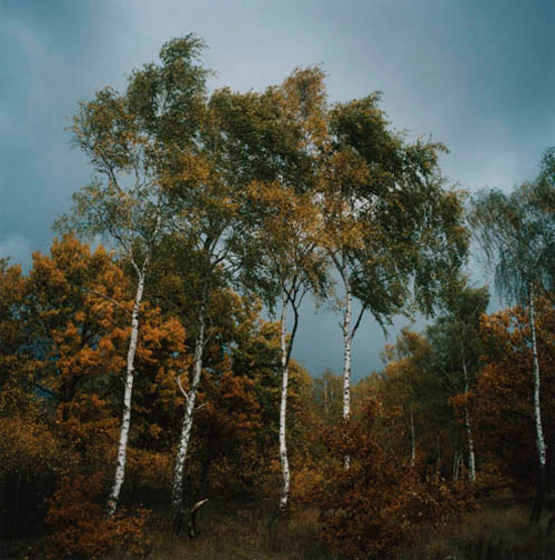 anne schwalbe photographer photography
