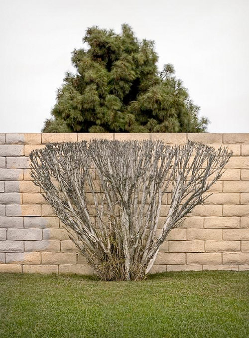 brad moore photographer photography
