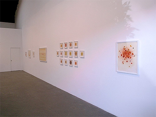 brendan monroe painting painter richard heller gallery show