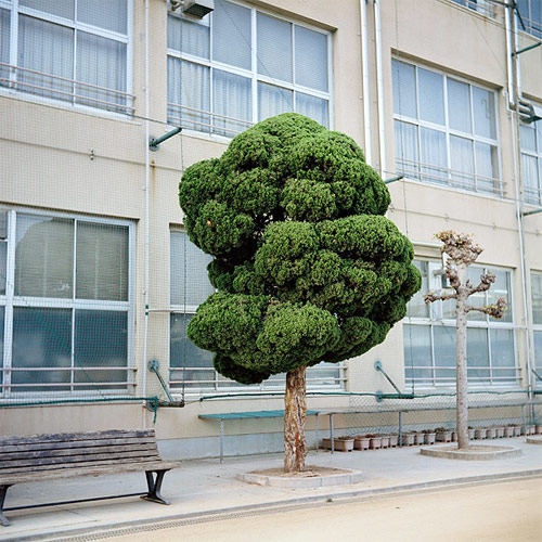 caroline de vries photographer photography