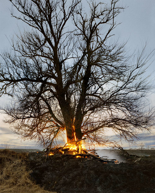 christian patterson photographer photography brooklyn