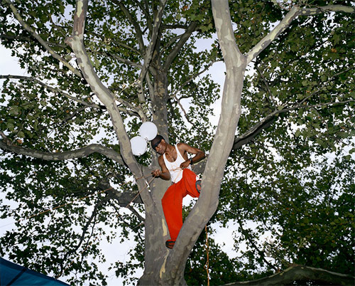 clayton cotterell photographer photography guy in tree