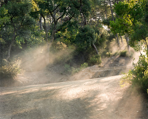 dalton rooney photographer photography