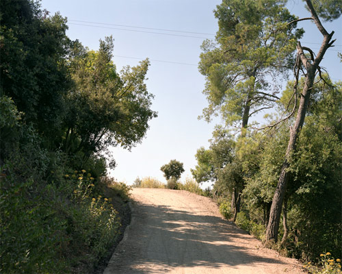 dalton rooney photographer photography