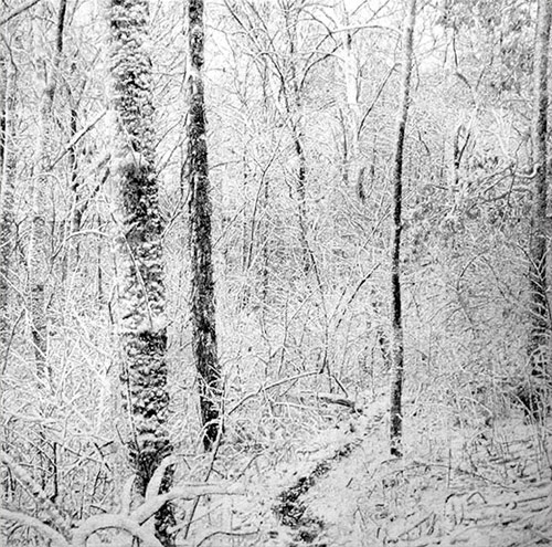 james chronister artist painter painting