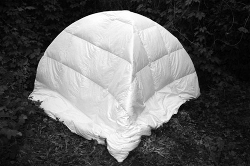 lara dhondt photographer photography belgium