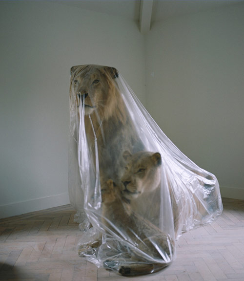 leo postma photographer photography