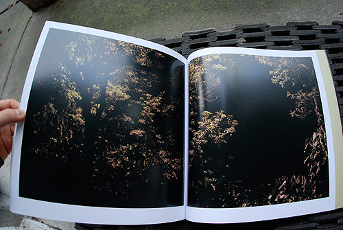 mona kuhn photographer photography brazil brasil native book
