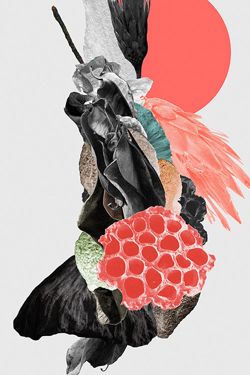 robjoe Robi Jõeleht illustration illustrator