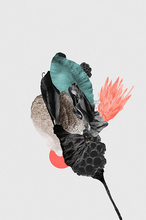 robjoe Robi Jõeleht illustration illustrator