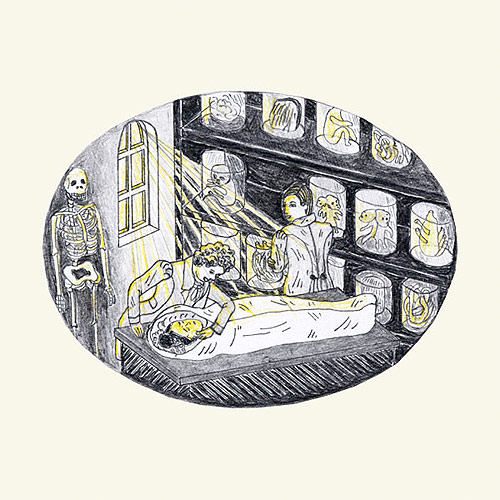 sophia martineck illustration illustrator drawing