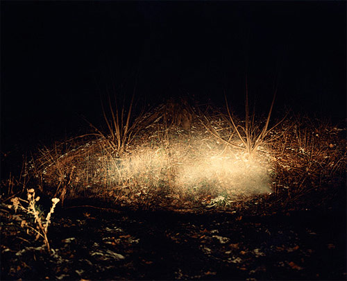 ahndraya parlato night light photographer photography