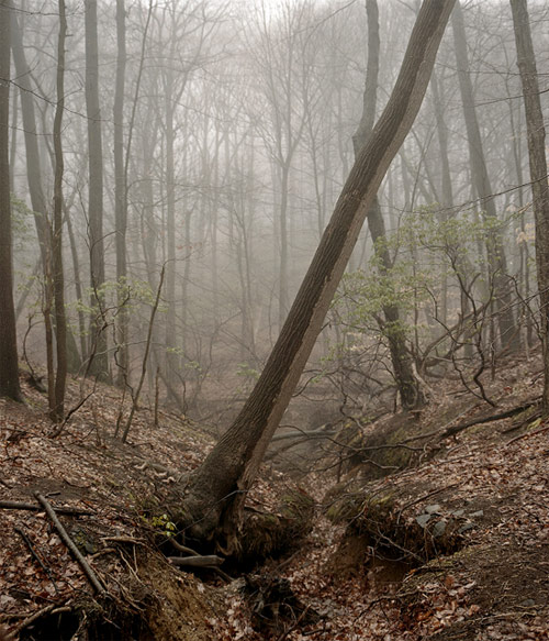 andrew nemiroski photographer five photography