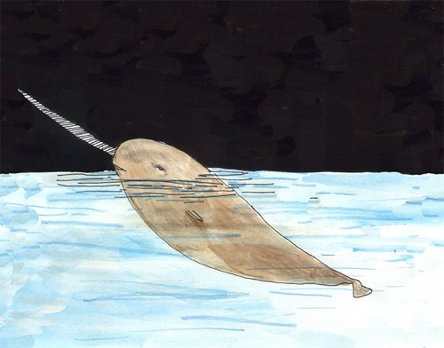 elizabeth graeber illustration illustrator baltimore narwhale