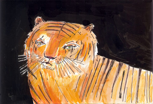 tiger elizabeth graeber illustration illustrator baltimore