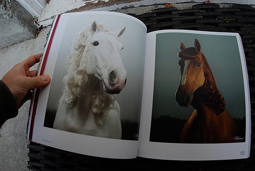 hair em scare em gestalten book horses wig publication art hair illustration photography