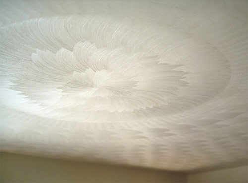 justin visnesky photographer photography