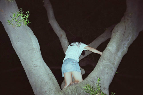 lin zhipeng photographer photography