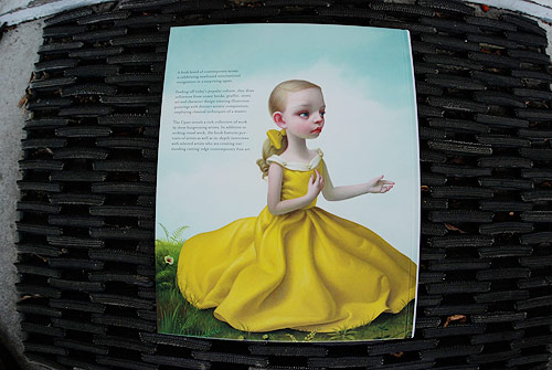 the upset young contemporary art gestalten book publication collection