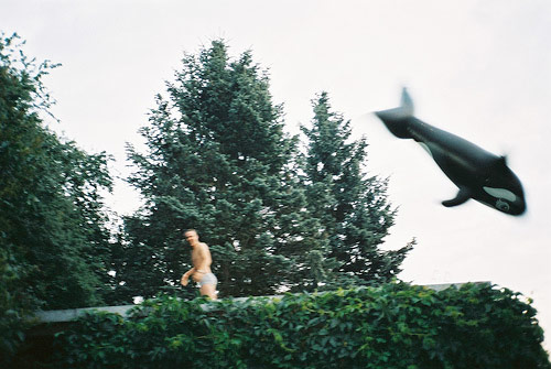 valeria picerno photographer photography