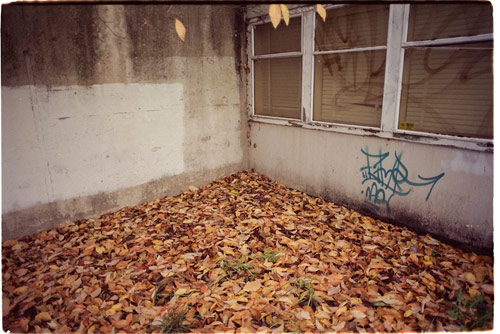 ali bosworth photographer photography victoria british columbia canadian