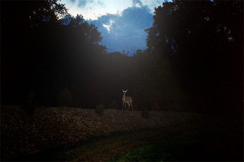 andrew tomchyshyn photographer photography