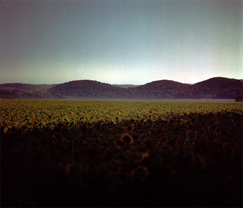 andrew tomchyshyn photographer photography